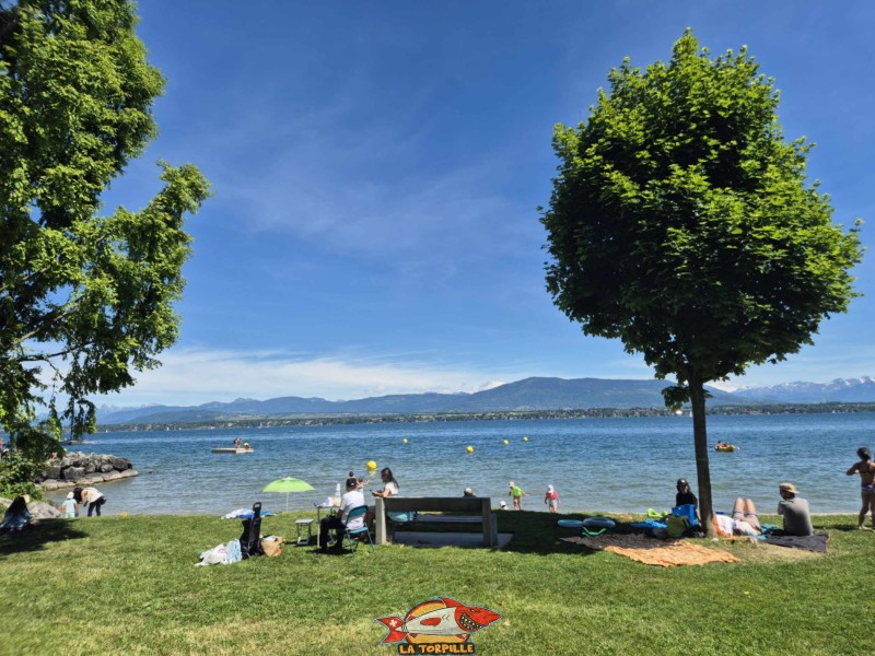 La plage de Mies dans le canton de Vaud.