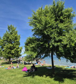 🏖️ Plage de Mies