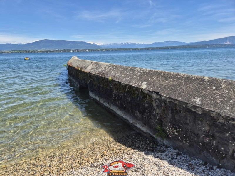 Plage sud. plage de Mies, région de Nyon, bord du Léman. 