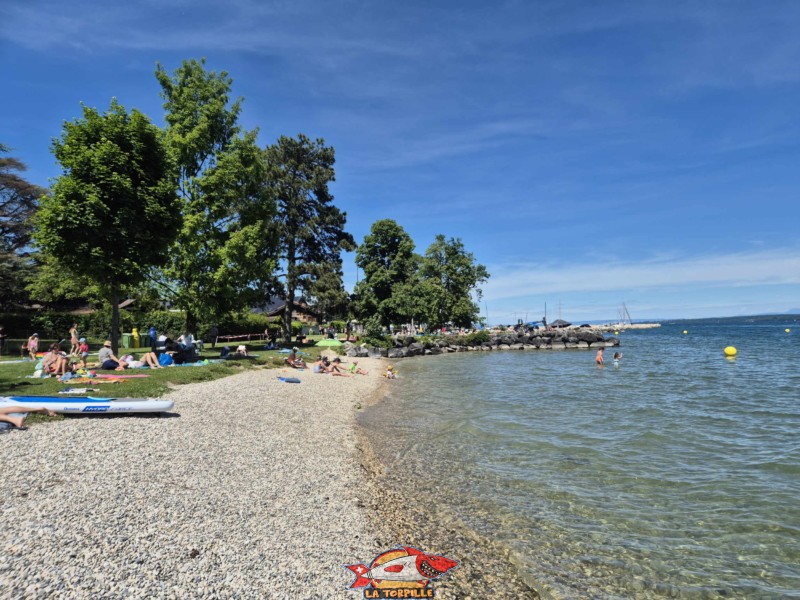 Plage sud. plage de Mies, région de Nyon, bord du Léman. 