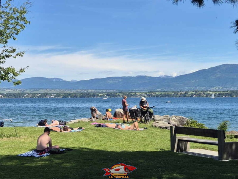 Pointe sud. plage de Mies, région de Nyon, bord du Léman. 