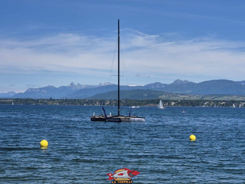 Les bouées jaunes qui délimitent la zone de baignade. plage de Mies, région de Nyon, bord du Léman. 