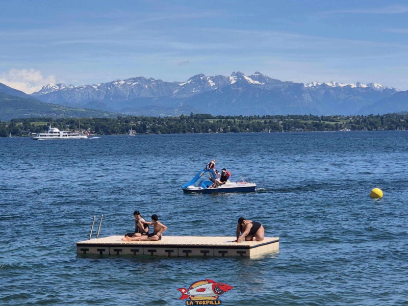Plateforme. plage de Mies, région de Nyon, bord du Léman. 