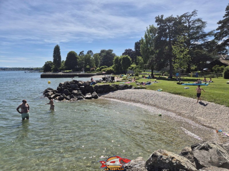Plage milieu. plage de Mies, région de Nyon, bord du Léman. 