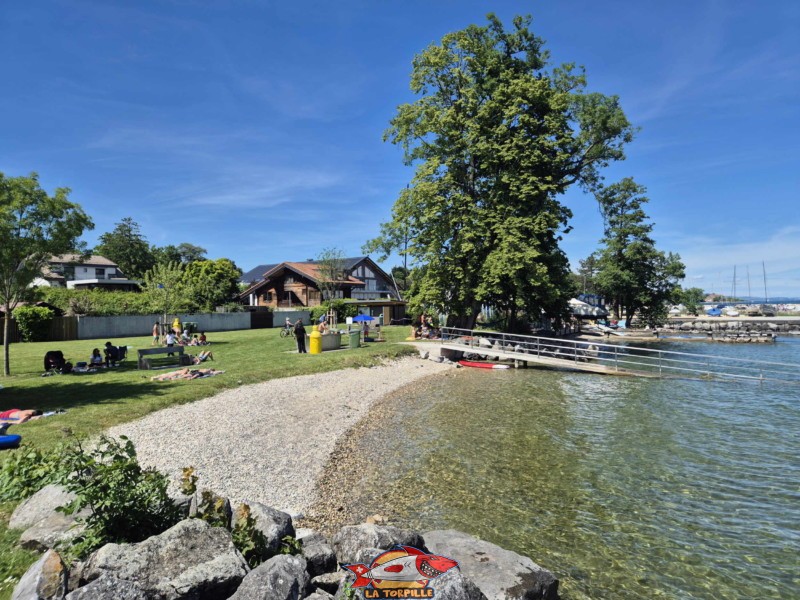 Plage nord. plage de Mies, région de Nyon, bord du Léman. 
