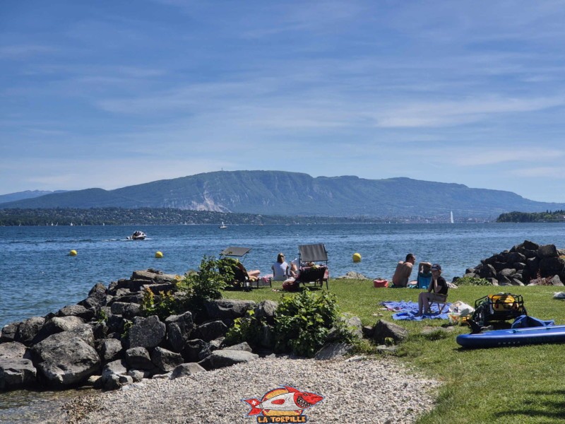 Pointe nord. plage de Mies, région de Nyon, bord du Léman. 
