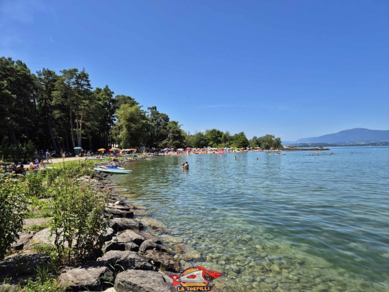 Enrochements. Plage du Camping VD8, Cheseaux-Noréaz, Canton de Vaud, Lac de Neuchâtel.