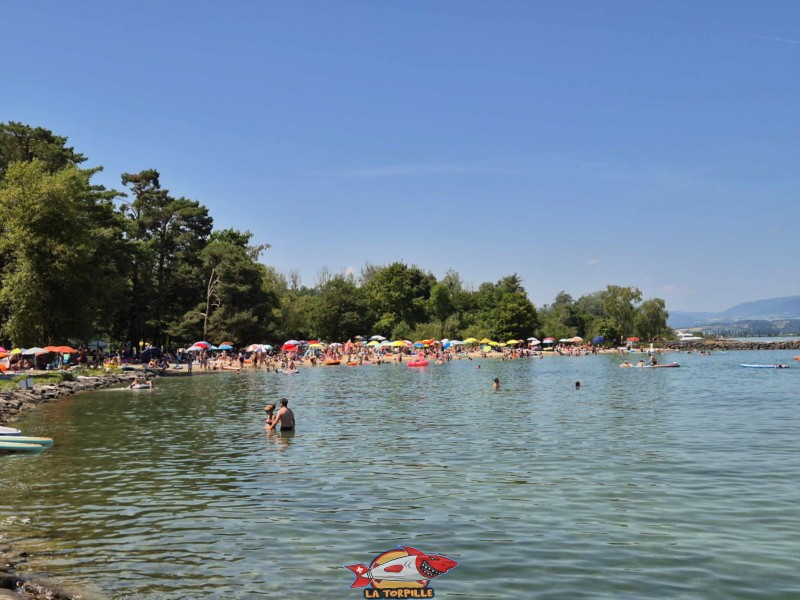 Sable, à distance. Plage du Camping VD8, Cheseaux-Noréaz, Canton de Vaud, Lac de Neuchâtel.