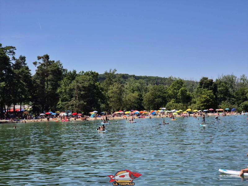 Sable, à distance. Plage du Camping VD8, Cheseaux-Noréaz, Canton de Vaud, Lac de Neuchâtel.