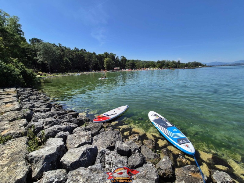 Digue Est. Plage du Camping VD8, Cheseaux-Noréaz, Canton de Vaud, Lac de Neuchâtel.