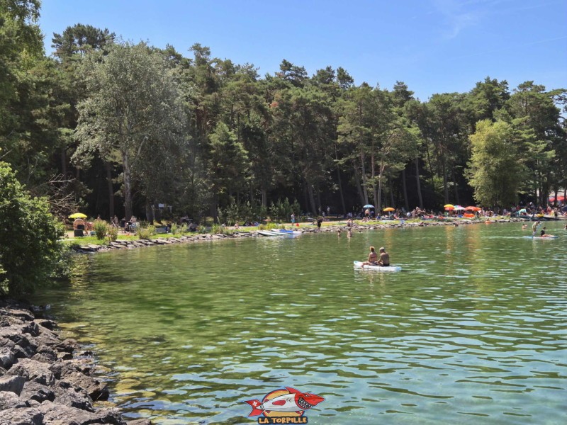 Enrochements. Plage du Camping VD8, Cheseaux-Noréaz, Canton de Vaud, Lac de Neuchâtel.