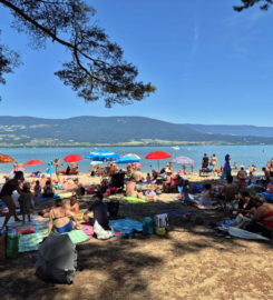 🏖️ Plage du Camping VD8 – Cheseaux-Noréaz