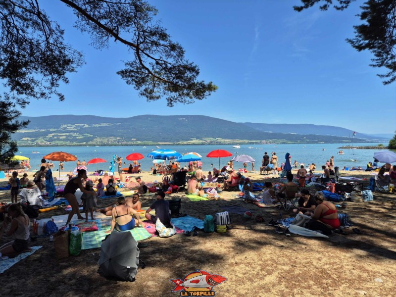 Sable, milieu. Plage du Camping VD8, Cheseaux-Noréaz, Canton de Vaud, Lac de Neuchâtel.
