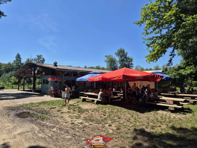 Buvette. Plage du Camping VD8, Cheseaux-Noréaz, Canton de Vaud, Lac de Neuchâtel.