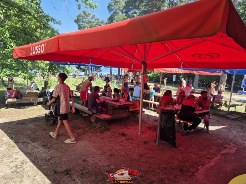 Buvette. Plage du Camping VD8, Cheseaux-Noréaz, Canton de Vaud, Lac de Neuchâtel.