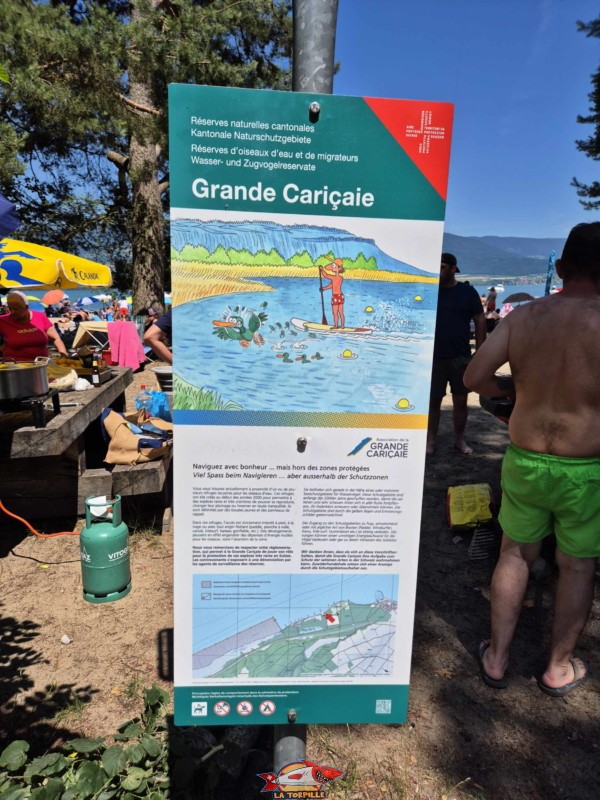 Grande Cariçaie. Plage du Camping VD8, Cheseaux-Noréaz, Canton de Vaud, Lac de Neuchâtel. Grande Cariçaie. Plage du Camping VD8, Cheseaux-Noréaz, Canton de Vaud, Lac de Neuchâtel.