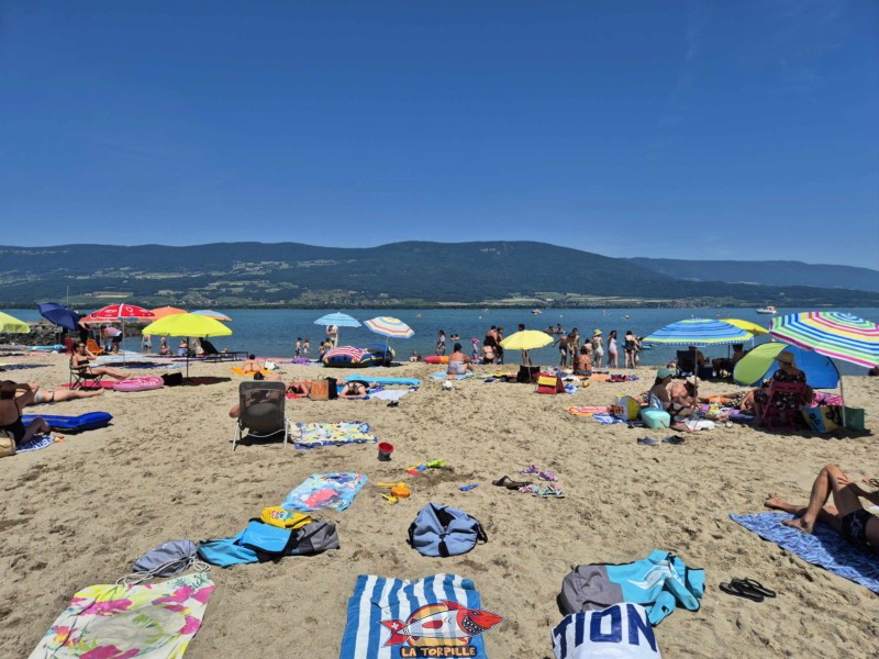 Sable, milieu. Plage du Camping VD8, Cheseaux-Noréaz, Canton de Vaud, Lac de Neuchâtel.