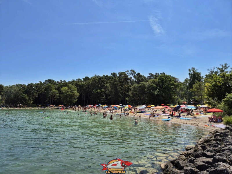 Sable, depuis ouest. Plage du Camping VD8, Cheseaux-Noréaz, Canton de Vaud, Lac de Neuchâtel.