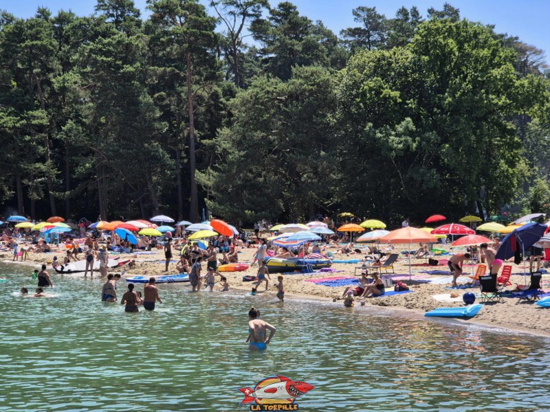 Sable, depuis ouest. Plage du Camping VD8, Cheseaux-Noréaz, Canton de Vaud, Lac de Neuchâtel.