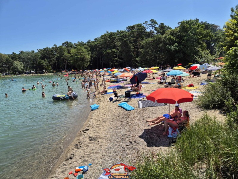 Sable, depuis ouest. Plage du Camping VD8, Cheseaux-Noréaz, Canton de Vaud, Lac de Neuchâtel.