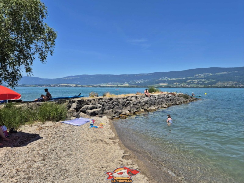 Digue Ouest. Plage du Camping VD8, Cheseaux-Noréaz, Canton de Vaud, Lac de Neuchâtel.