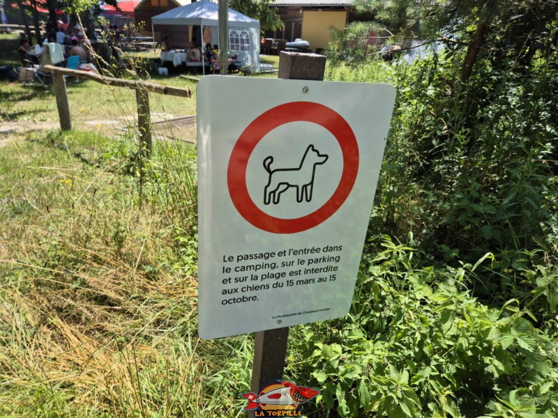 chiens. Plage du Camping VD8, Cheseaux-Noréaz, Canton de Vaud, Lac de Neuchâtel. Les chiens sont interdits sur la plage VD8.. Plage du Camping VD8, Cheseaux-Noréaz, Canton de Vaud, Lac de Neuchâtel.