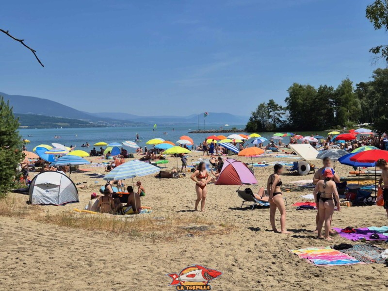 . Plage du Camping VD8, Cheseaux-Noréaz, Canton de Vaud, Lac de Neuchâtel.