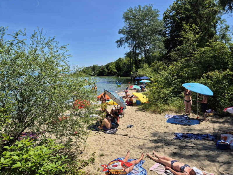 Milieu. Plage de Châble-Perron, lac de Neuchâtel.