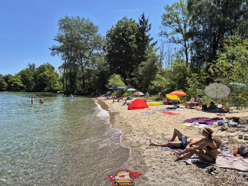 Milieu. Plage de Châble-Perron, lac de Neuchâtel.