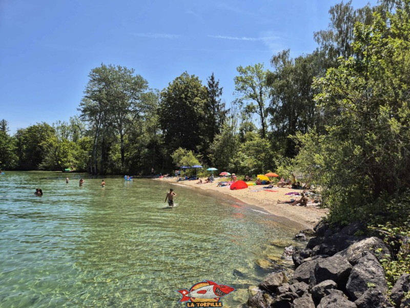 Côté Ouest. Plage de Châble-Perron, lac de Neuchâtel.