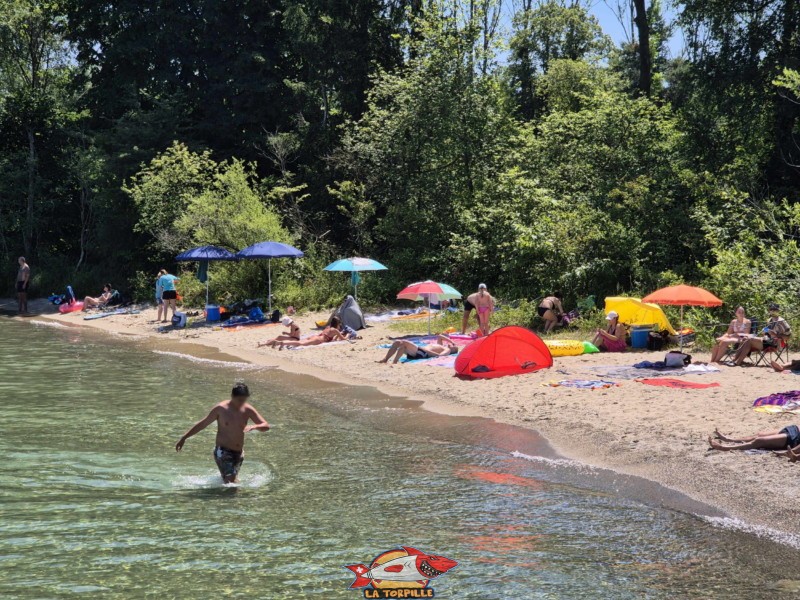 Côté Ouest. Plage de Châble-Perron, lac de Neuchâtel.