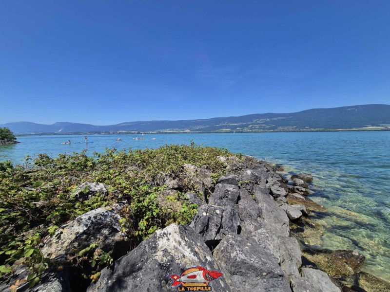 Côté Ouest. Plage de Châble-Perron, lac de Neuchâtel.