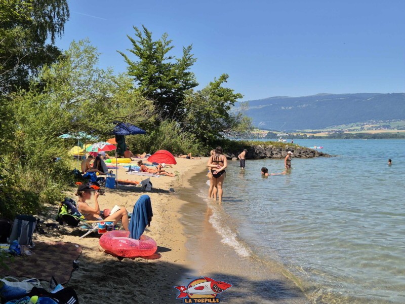Plage de Châble-Perron, lac de Neuchâtel.
