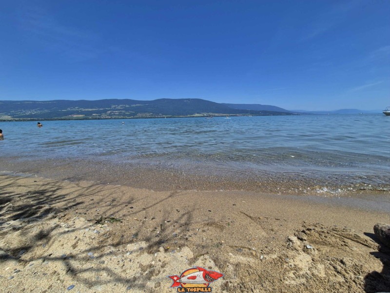 Milieu. Plage de Châble-Perron, lac de Neuchâtel.