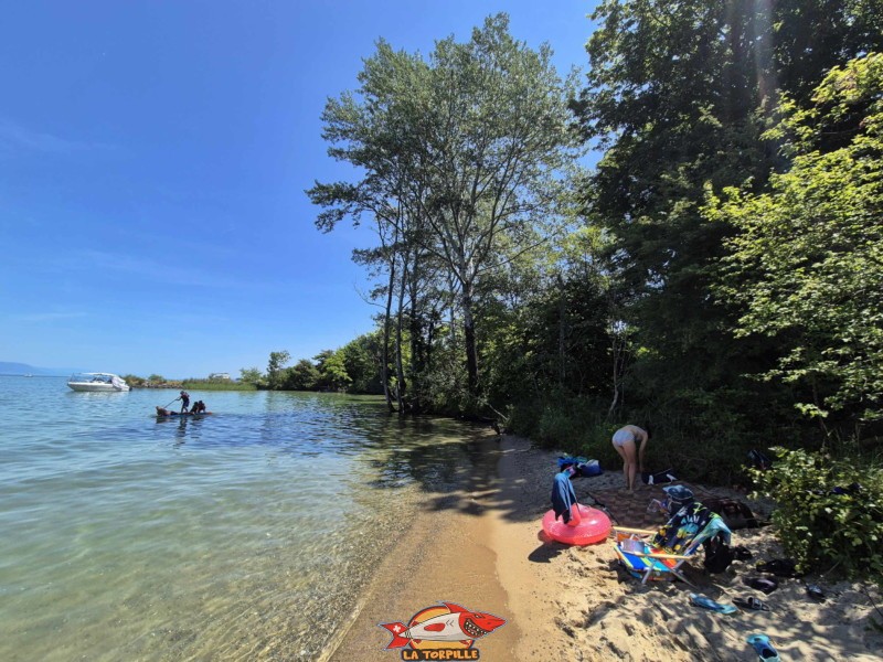 Côté Est. Plage de Châble-Perron, lac de Neuchâtel.