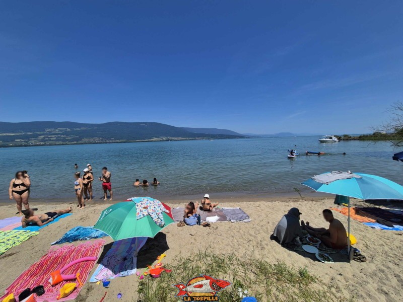 Milieu. Plage de Châble-Perron, lac de Neuchâtel.