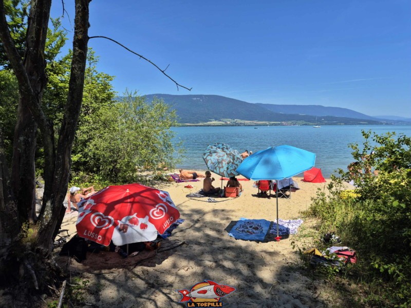 Milieu. Plage de Châble-Perron, lac de Neuchâtel.