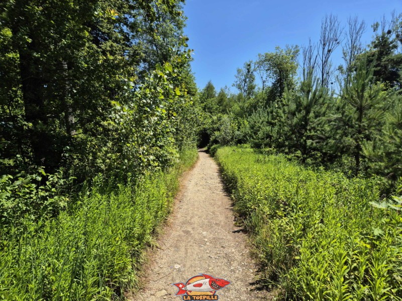Le sentier du bord du lac de Neuchâtel qui permet de rejoindre la plage de Châble-Perron. Le sentier du bord du lac de Neuchâtel qui permet de rejoindre la plage de Châble-Perron.