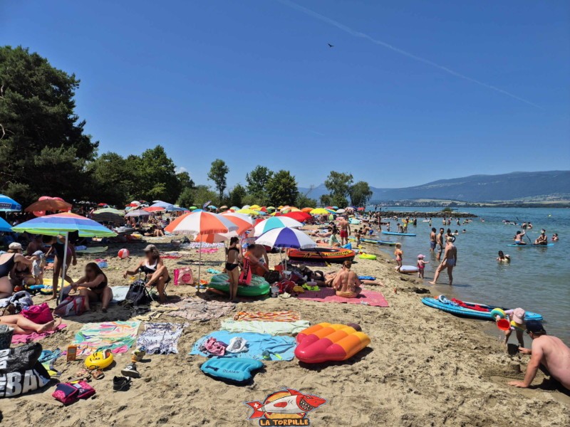 Sable, depuis est. Plage du Camping VD8, Cheseaux-Noréaz, Canton de Vaud, Lac de Neuchâtel.
