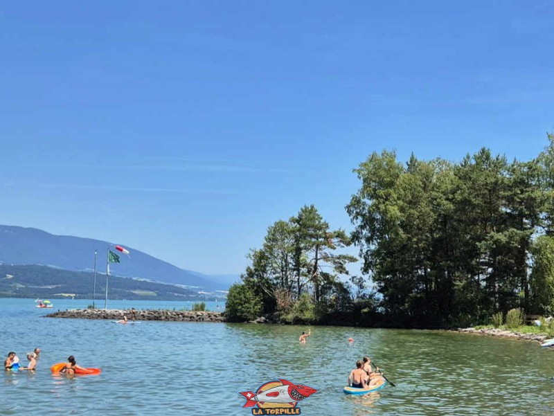 Digue Est. Plage du Camping VD8, Cheseaux-Noréaz, Canton de Vaud, Lac de Neuchâtel.