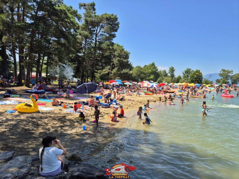 20250622 130221 plage camping vd8