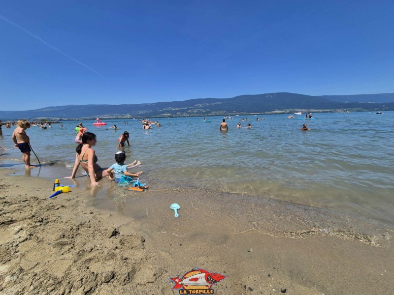 Sable, milieu. Plage du Camping VD8, Cheseaux-Noréaz, Canton de Vaud, Lac de Neuchâtel.