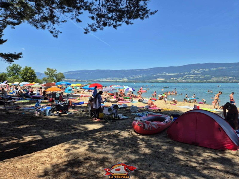 Sable, milieu. Plage du Camping VD8, Cheseaux-Noréaz, Canton de Vaud, Lac de Neuchâtel.