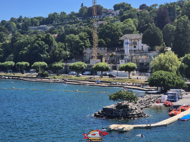 La vue sur la zone de baignade du quai de Cologny depuis le sommet du plongeoir de Genève-Plage. La vue sur la zone de baignade du quai de Cologny depuis le sommet du plongeoir de Genève-Plage.