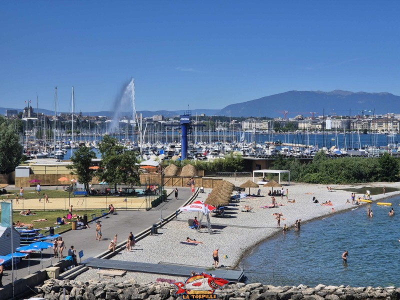 Le jet d'eau depuis le sommet du plongeoir de la piscine de Genève-Plage. Cologny