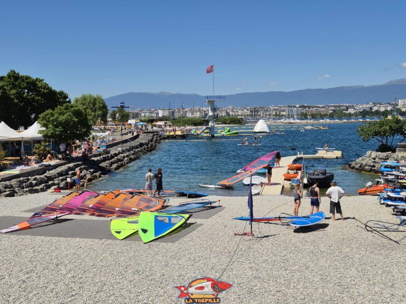 Tropical Corner à Cologny, au bord du Léman. Tropical Corner à Cologny, au bord du Léman.