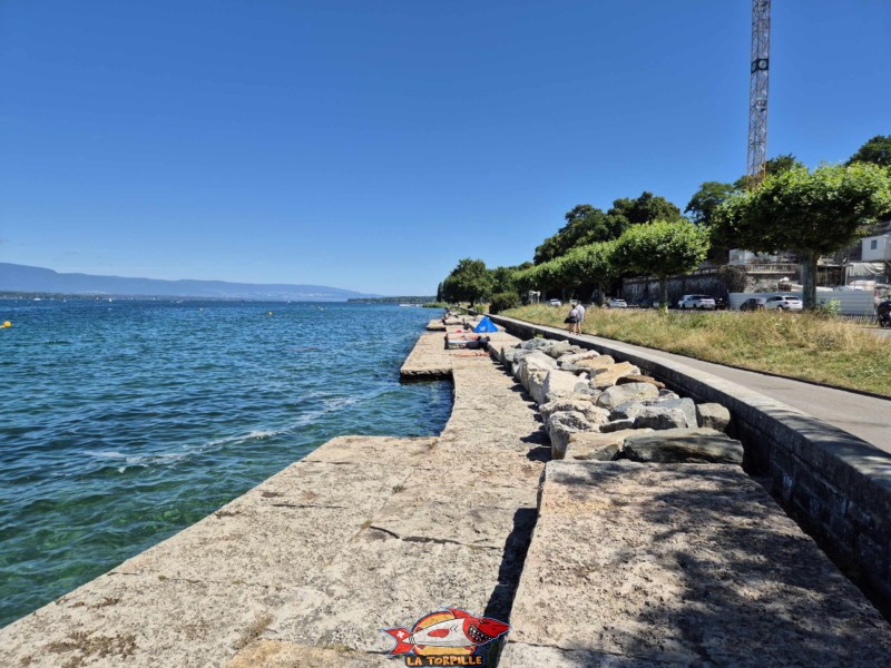 Les vues sur l'espace de baignade du quai de Cologny en direction de Cologny.