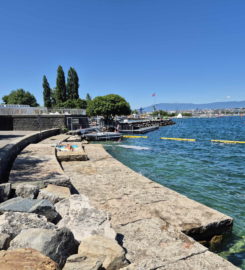 🏖️ Espace de Baignade du Quai de Cologny