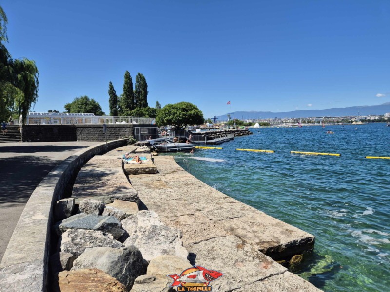 Les vues sur l'espace de baignade du quai de Cologny en direction de la ville de Genève.
