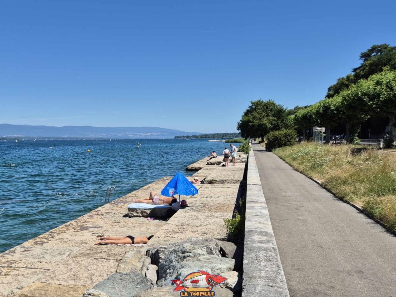 Les vues sur l'espace de baignade du quai de Cologny en direction de Cologny.